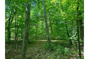 A Woodland Waterfront Retreat 183 Ft of Shoreline Near Campbellford.