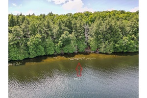 Newly created residential cottage building lot on pristine and peaceful Rebecca Lake Muskoka !