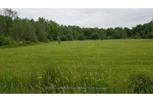 Just reduced by 20, 000 Great homesite clean, level lot Minutes from Metcalfe, Greely, Findlay Creek areas.