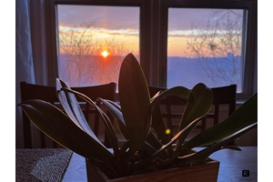 HIGHLIGHTS PRIVATE TERRACEINCREDIBLE NATURAL LIGHTSWEEPING and PEACEFUL VIEWSWALK IN CLOSETOVERSIZED PRIMARY BEDROOMCORNER APARTMENT UNIT Welcome to this spacious, sunlit corner unit with endless views.