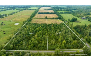Welcome to an opportunity to own a piece of natural beauty and serenity !
