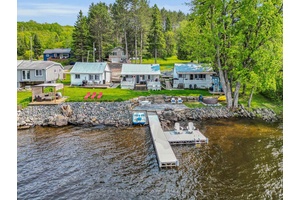Welcome to 312 Doe Lake Road in Katrine, the ultimate family compound or investment property on the shores of beautiful Doe Lake.