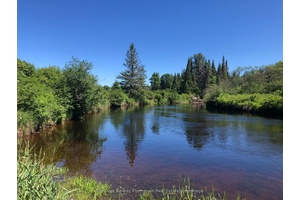 100 Acres with approx. 6000 feet of the South River flowing through the property.