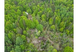 Escape to your own private paradise with this stunning 25 acre vacant parcel of land.