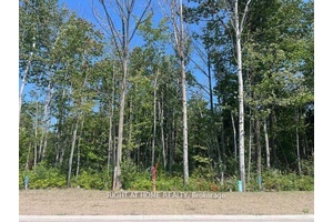 Located on the highly desirable west end of Wasaga Beach, this 85 foot building lot offers an exceptional opportunity.