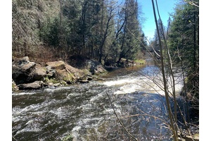 2 Acres of mixed forest with over 600 feet of frontage on Sterling Creek.