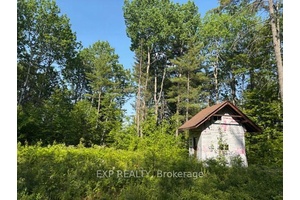 Bird Song Plateau with a view in the fall of Carson Lake and nothing but fresh air and nature surrounding you.