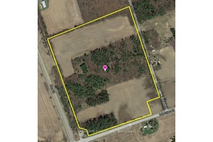 Welcome to a rare opportunity to own 49 acres of picturesque countryside, offering a harmonious blend of open, productive farmland and mature hardwood forest.