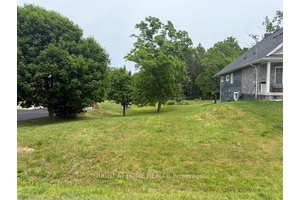 Build Your Dream Home on a Rare 60x200 Lot Backing onto Forest !