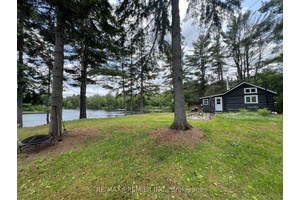 An absolute gorgeous all season lakefront cottage in Muskoka offering a breath taking view of sunrise, lakefront with calm water flow and surrounded by natures.
