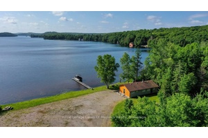 Sought after 200' level 1.