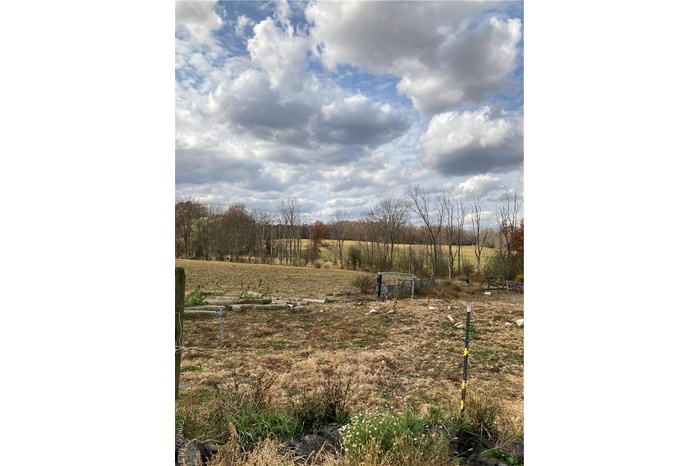 View of local wilderness featuring a rural view