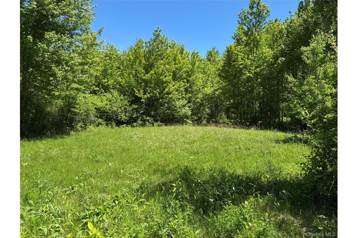 Open view