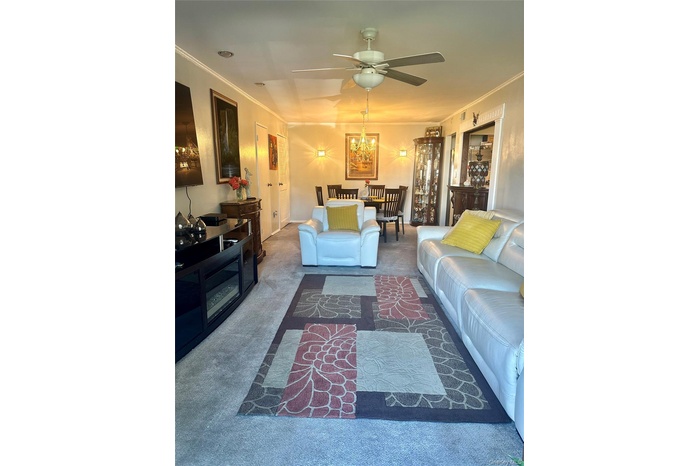 Living room featuring crown molding, a chandelier, carpet floors, and a ceiling fan