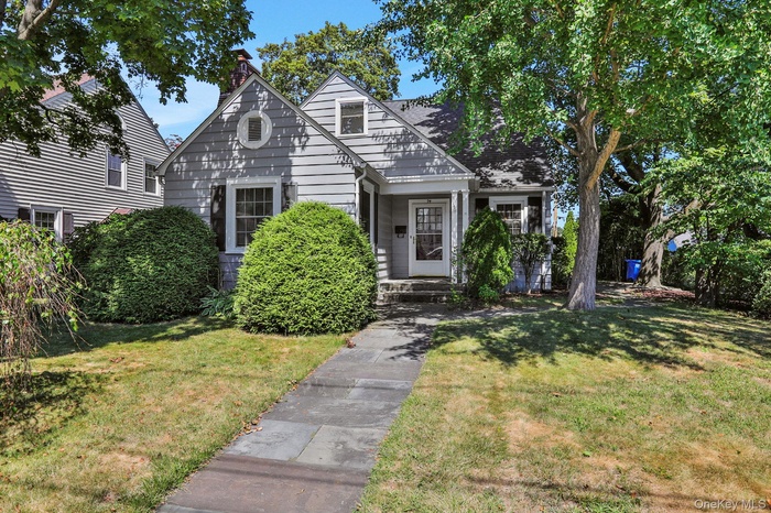 View of front facade featuring a chimney and a front yard