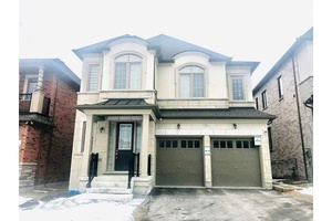 Bright, Spacious 3 Bedroom Walk Out Basement Apartment.