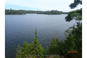 OWN YOUR OWN ISLAND ! ! !