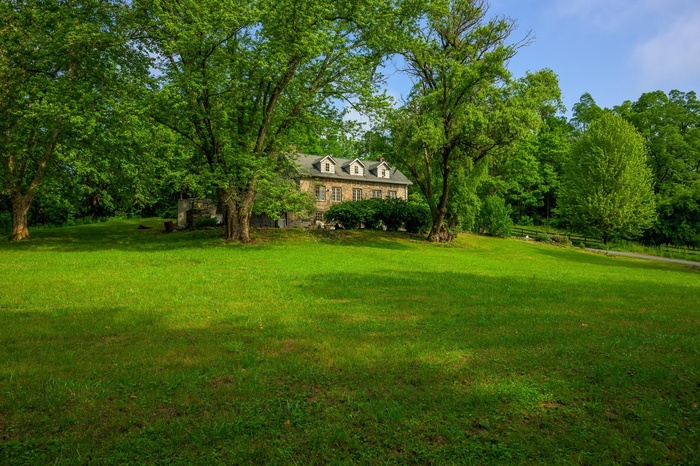 View of green lawn