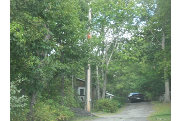 View of street with a wooded view