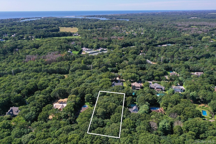 Bird's eye view with a forest view