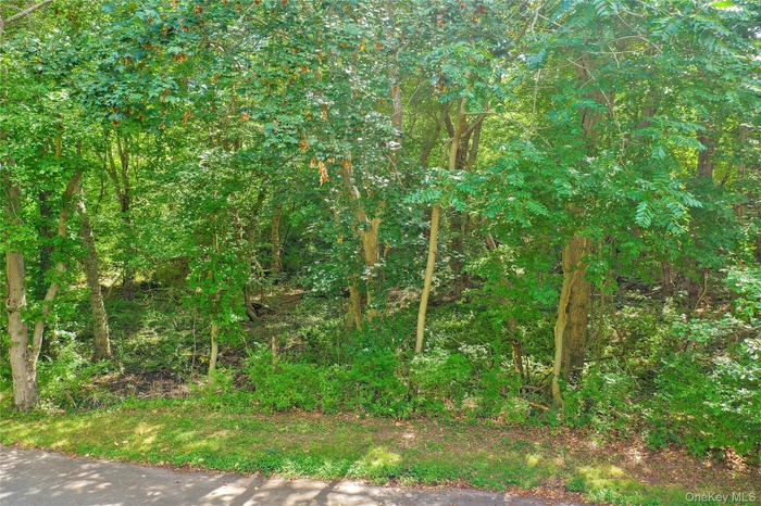 View of undeveloped land