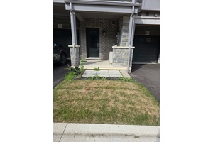 2. 5 y old Branthaven Homes Townhouse With 2 Beds And 2 Washrooms Available as of October 15, 2025.