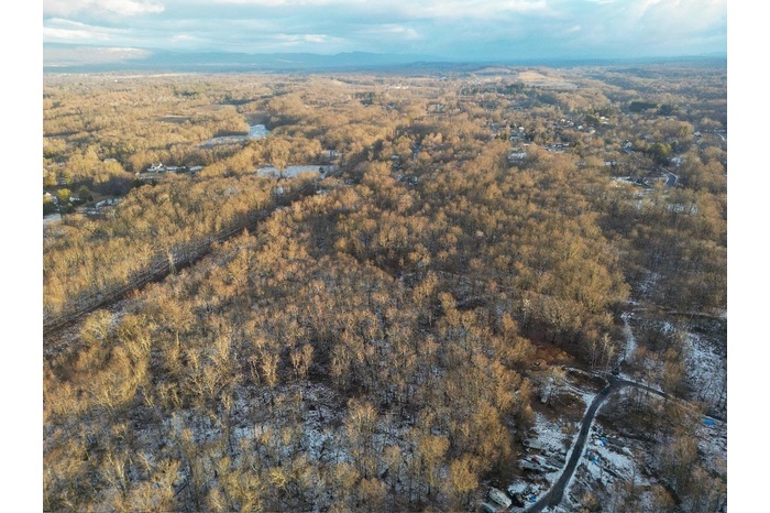 Bird's eye view featuring a view of trees