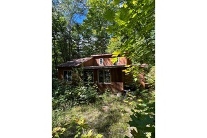 7. 5 well treed acres with a small cabin that has been used as a hunt Camp for years.