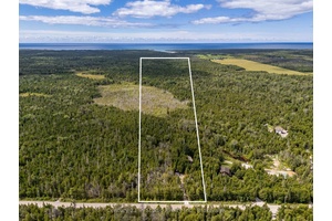 Forest Escape on 25 Acres near Pike Bay offers total privacy surrounded by nature !