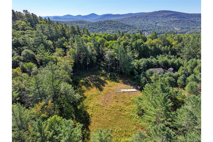 Drone / aerial view of a forest and mountains