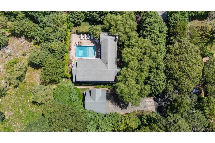 Aerial view of a pool and a forest