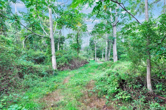 View of wooded area