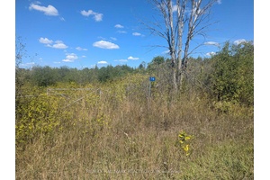 Build Your Dream Home on This Beautiful 5 Acre Lot !