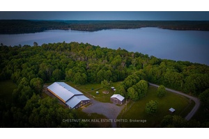 Outstanding opportunity to own just under 100 acres in the Haliburton Highlands, ideal for equestrian enthusiasts, nature lovers, or anyone seeking a private country estate.