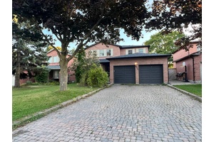 1 Big Bedroom Big Den, Basement, UNIT A, FURNISHED, Shared Laundry, No Pet, Easy Access to Schools, Go Transit, Southlake Hospital, Restaurants, Costco, Upper Canada Mall, Close to HWY 404 ...