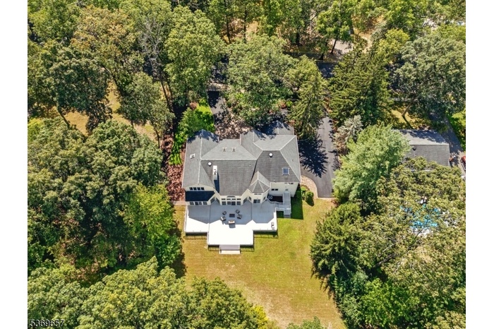 Drone View