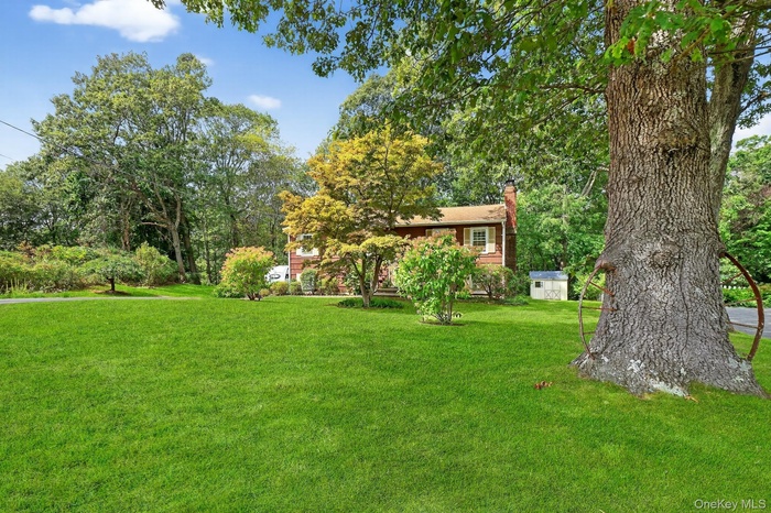 View of grassy yard