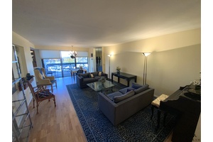 Grand foyer leads to large living room with huge terrace.