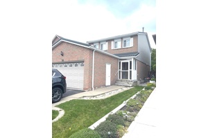 Spacious and well maintained basement apartment in a quiet, family oriented neighborhood of Brampton.