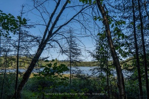 8. 4 Acres with 500 Ft of Waterfront on Four Mile Lake !