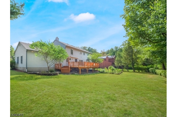 Large Rear Yard