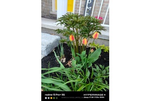 Charming 4 Bedroom Family Home in Sought After North End Neighbourhood.