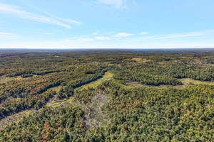 520 Acres of rolling forests, marshland, streams and ponds, tirelessly managed to optimize habitat for wildlife in the pursuit of the ultimate generational hunting and recreational property.