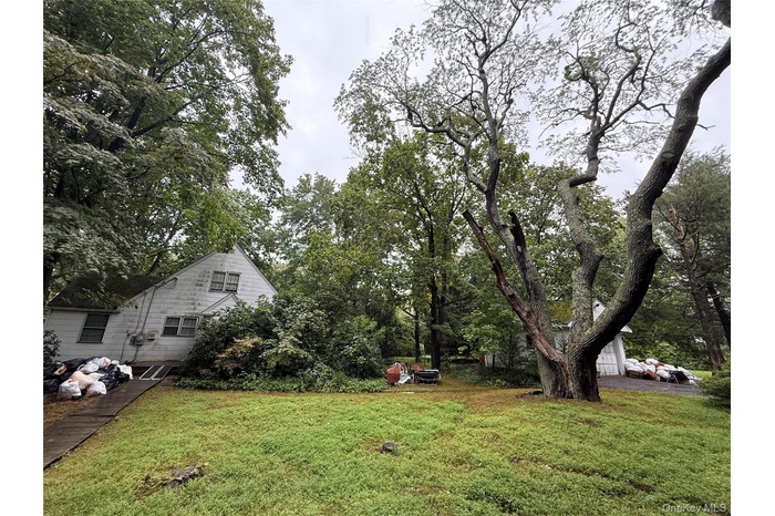 View of grassy yard with view of scattered trees