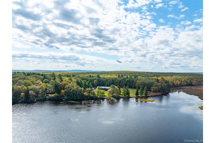 Bird's eye view of a forest and a nearby body of water