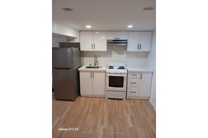 Recently updated Kitchen, Washroom and floor and painting.