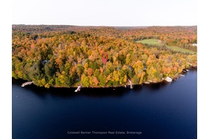 Rare offering of this 2 acre waterfront lot with 200 feet of frontage in a quiet bay on sought after Lake Vernon.