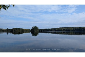 Seeking a large lot with exceptional privacy !