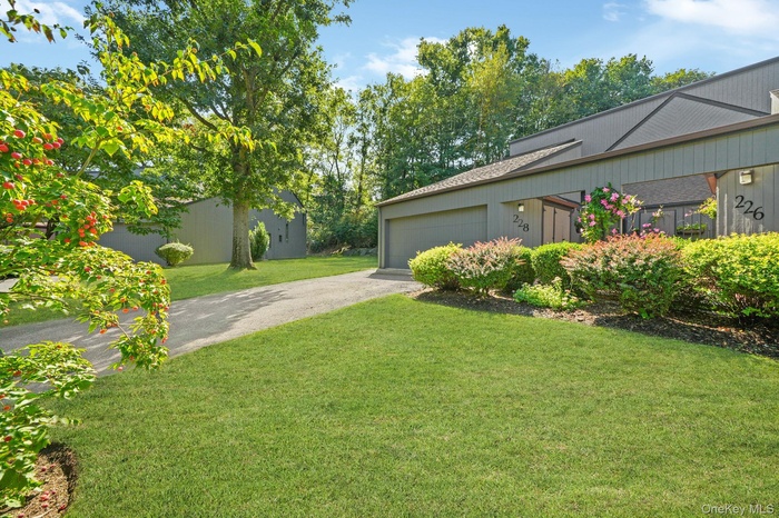View of green lawn with asphalt driveway