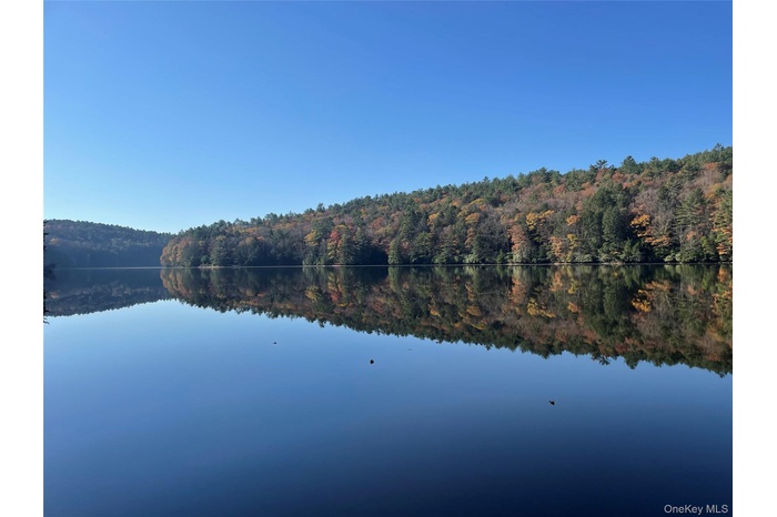 Water view with a forest